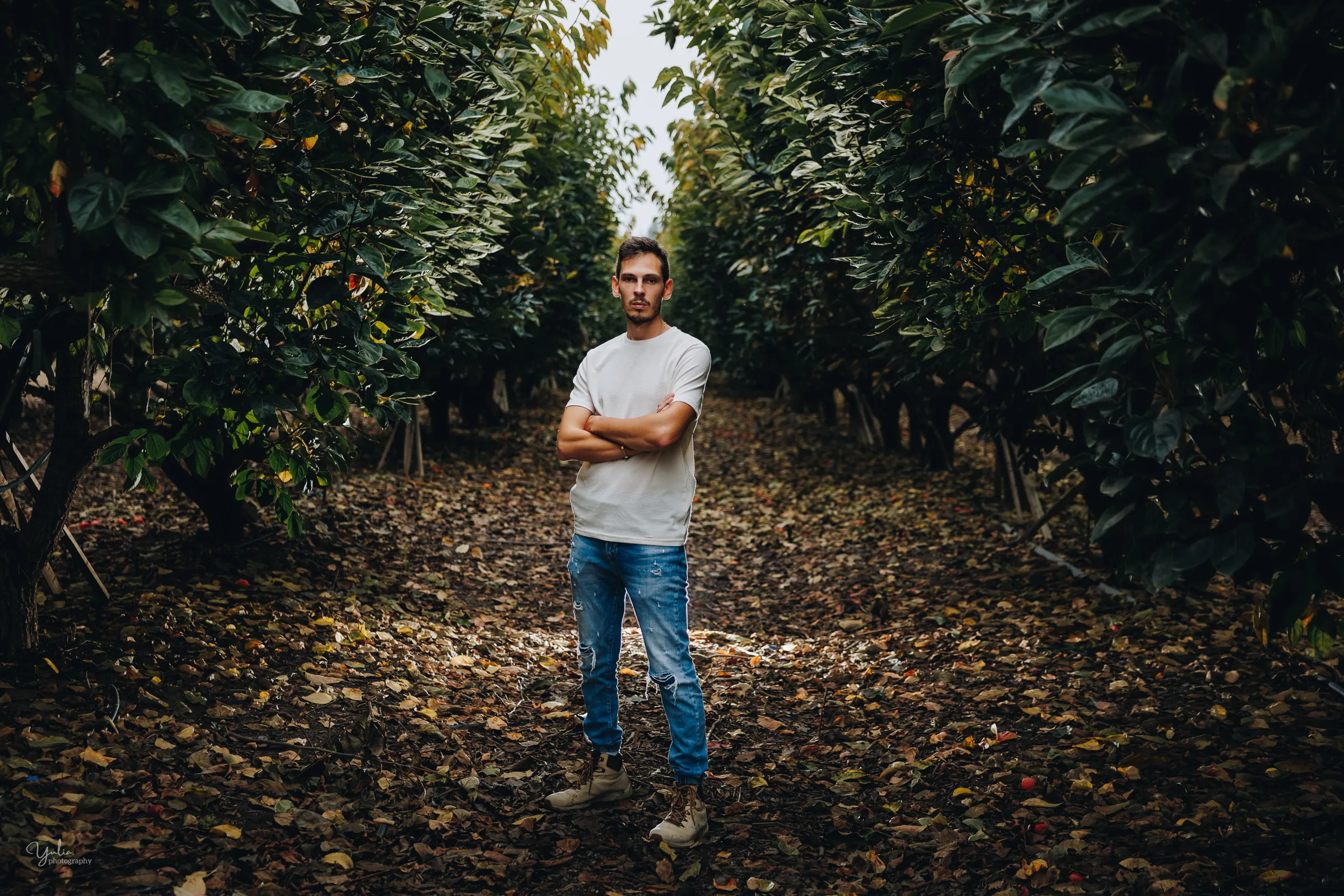 בוק אישי בחור עומד בין שורות של עצי אפרסמון
